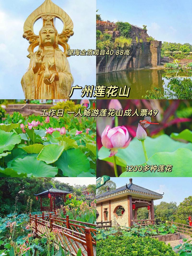 番禺莲花山门票,番禺莲花山门票预订-第5张图片-文史