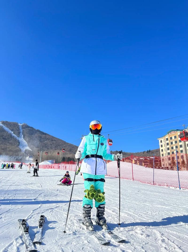 沈阳东北亚滑雪场(沈阳东北亚滑雪场开放时间)-第5张图片-文史 沈阳东北亚滑雪场(沈阳东北亚滑雪场开放时间)-第5张图片-文史