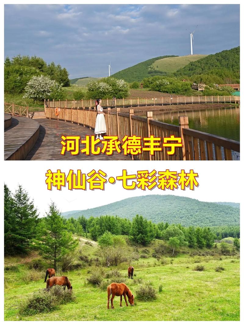 承德坝上草原自驾游攻略(承德坝上草原二日游)-第3张图片-文史 承德坝上草原自驾游攻略(承德坝上草原二日游)-第3张图片-文史