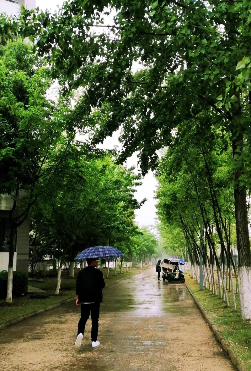 利辛天气预报40天(利辛天气预报40天准确百度百科)-第2张图片-文史 利辛天气预报40天(利辛天气预报40天准确百度百科)-第2张图片-文史