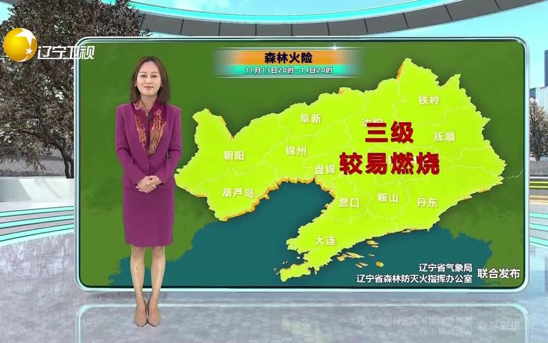 营口市盖州天气预报,营口盖州天气预报15天查询结果-第5张图片-文史 营口市盖州天气预报,营口盖州天气预报15天查询结果-第5张图片-文史