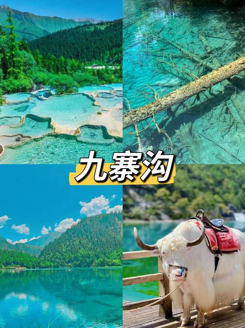 九寨沟哪个景点比较好看,九寨沟哪个景点比较好看图片