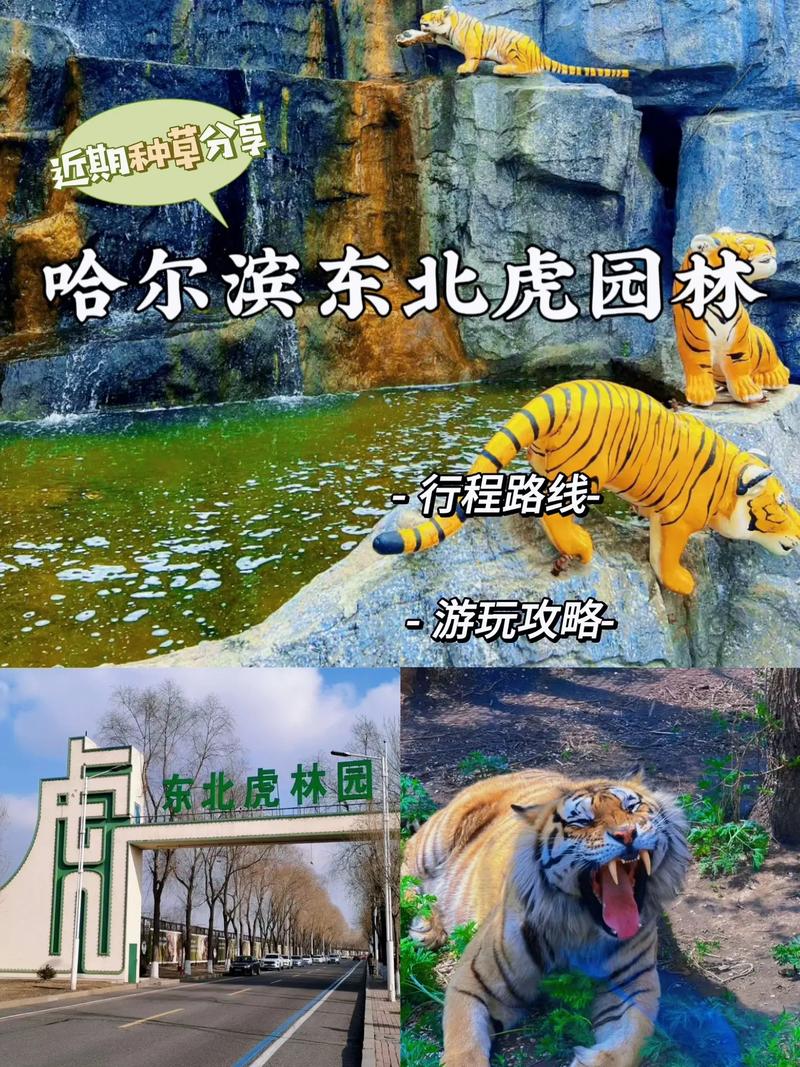 虎林24天气预报,虎林天气预报一周七天
