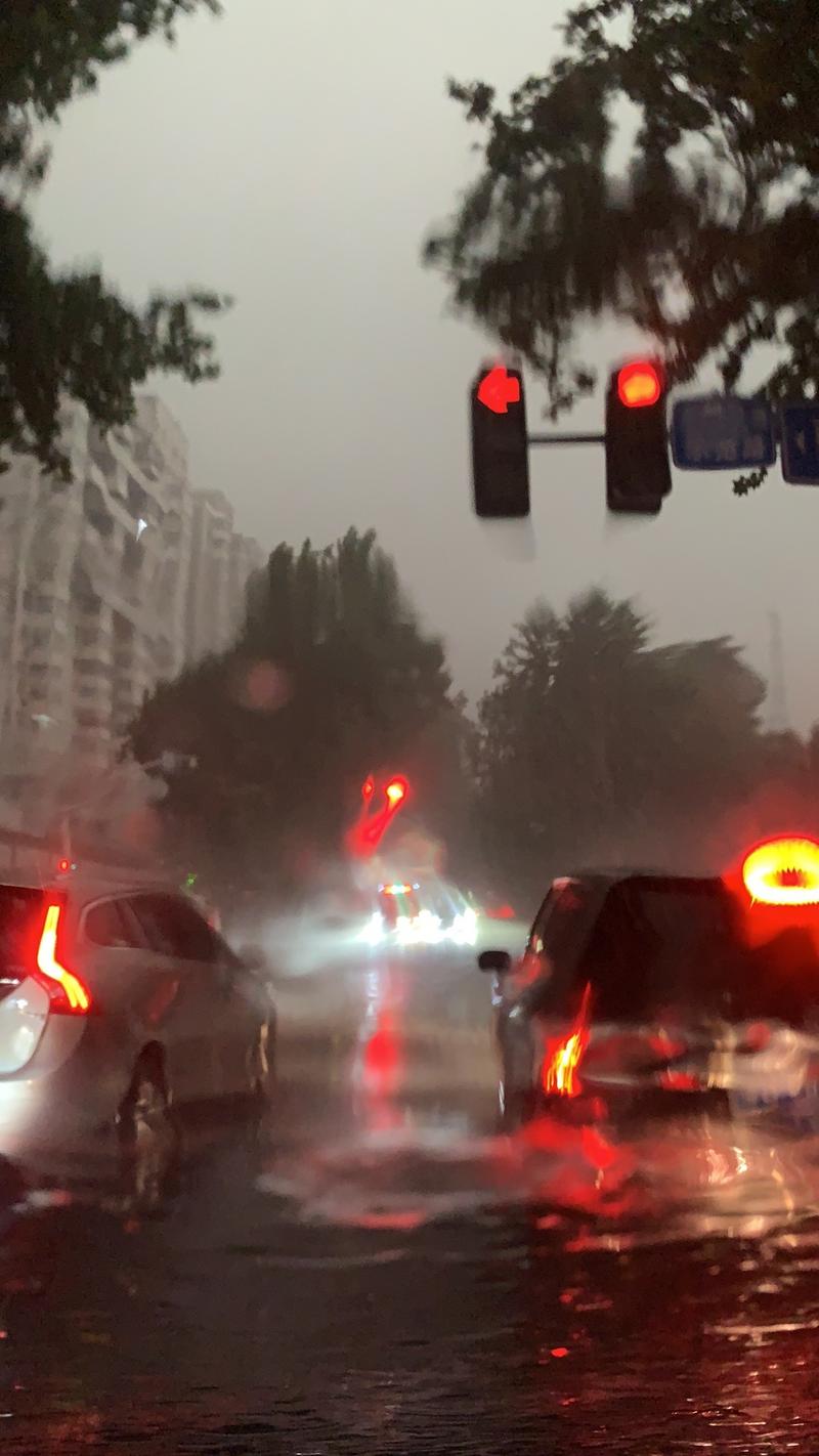 淄博一周的天气预报,淄博一周天气预报10天-第2张图片-文史 淄博一周的天气预报,淄博一周天气预报10天-第2张图片-文史