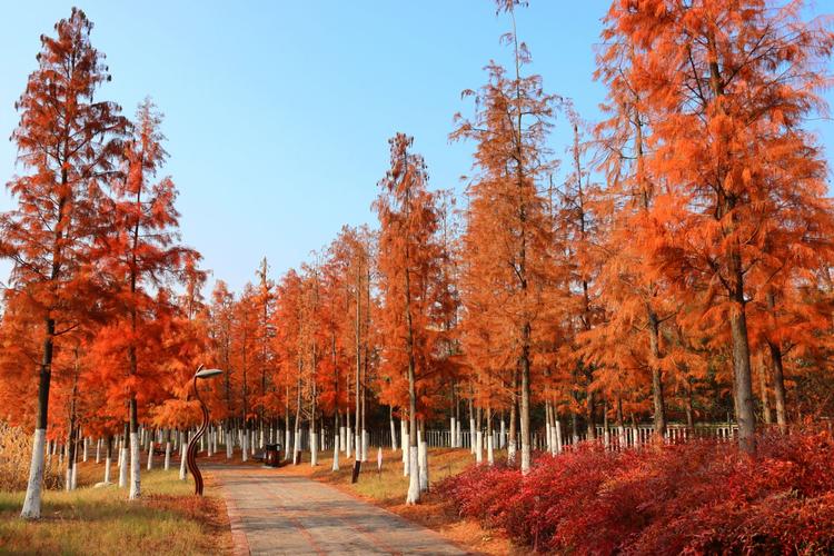 枝江天气5天预报（枝江天气5天预报15天）-第2张图片-文史