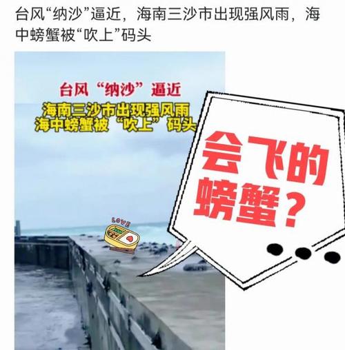 海南天气播报视频（海南天气预报视频）