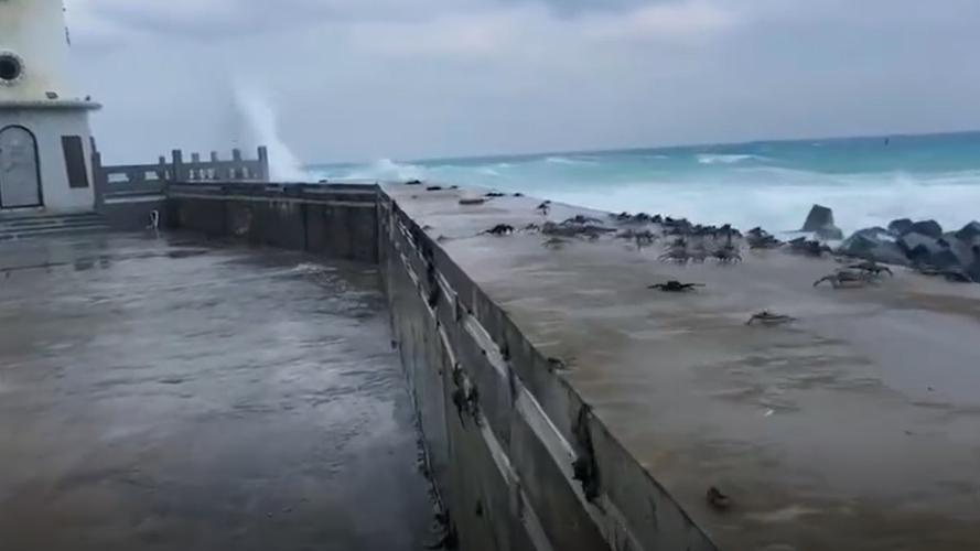 海南天气播报视频(海南天气预报视频)-第3张图片-文史 海南天气播报视频(海南天气预报视频)-第3张图片-文史