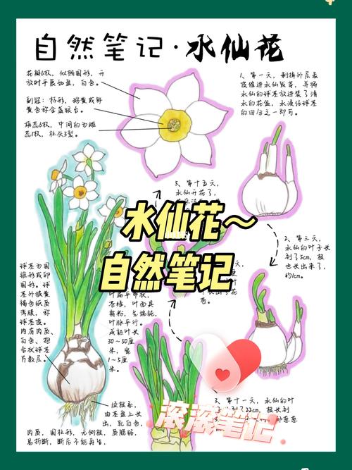 京都天气预报一周,京都天气预报一周15天-第1张图片-文史