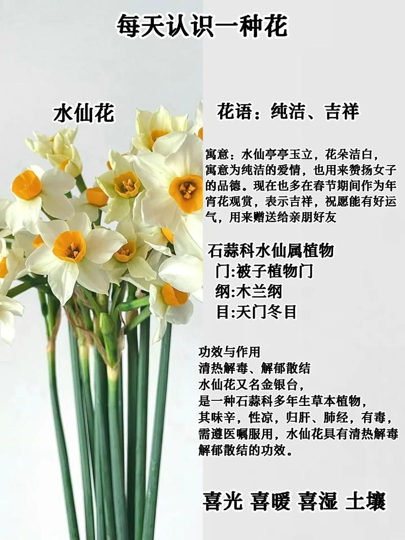 京都天气预报一周,京都天气预报一周15天-第3张图片-文史