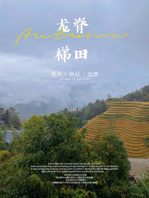 龙胜天气预报40天(龙胜天气近期天气预报)-第4张图片-文史 龙胜天气预报40天(龙胜天气近期天气预报)-第4张图片-文史