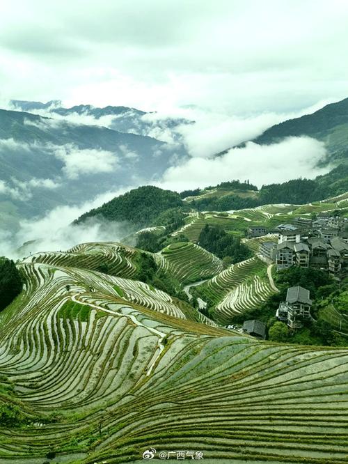 龙胜天气预报40天(龙胜天气近期天气预报)-第6张图片-文史 龙胜天气预报40天(龙胜天气近期天气预报)-第6张图片-文史