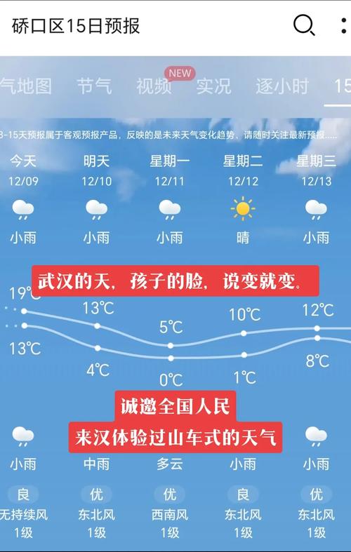 武汉天气预报准吗（武汉预报天气设置上）-第3张图片-文史