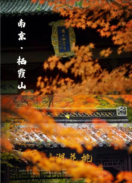栖霞市天气预报山东,山东省栖霞市天气-第3张图片-文史 栖霞市天气预报山东,山东省栖霞市天气-第3张图片-文史