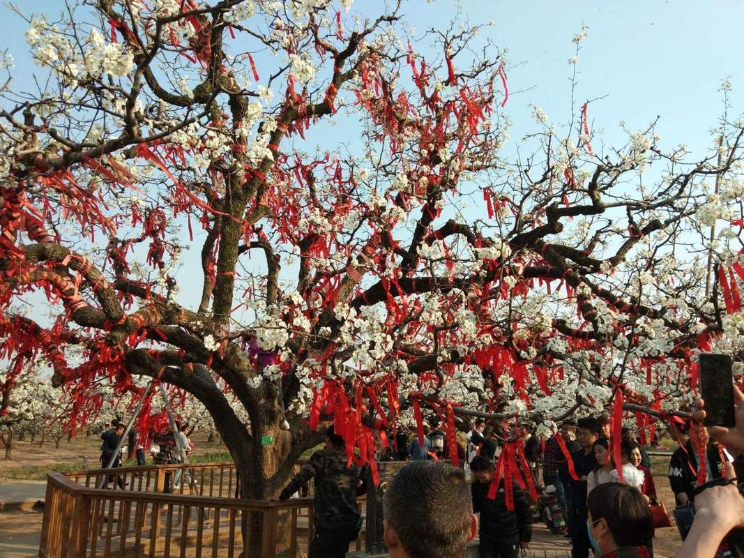 梨树天气预报30天,梨树天气预报7天-第1张图片-文史
