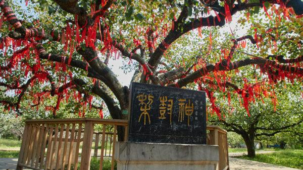梨树天气预报30天,梨树天气预报7天-第6张图片-文史