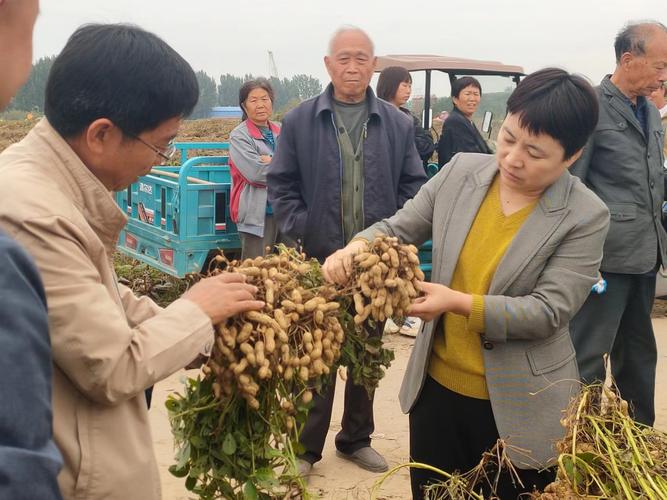 正阳县天气15天,河南省正阳县天气预报15天气-第2张图片-文史
