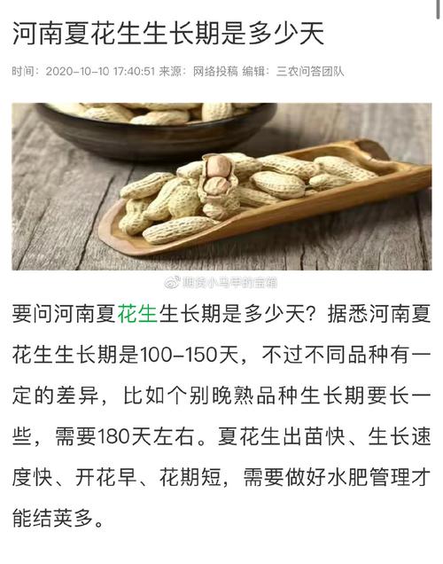正阳县天气15天,河南省正阳县天气预报15天气-第5张图片-文史