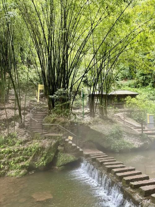 川西竹海天气预报（川西竹海天气预报7天查询）-第6张图片-文史