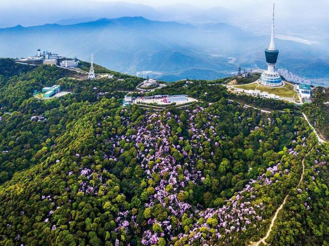 深圳二日游旅游景点推荐(深圳二日游旅游景点推荐地方)-第4张图片-文史 深圳二日游旅游景点推荐(深圳二日游旅游景点推荐地方)-第4张图片-文史