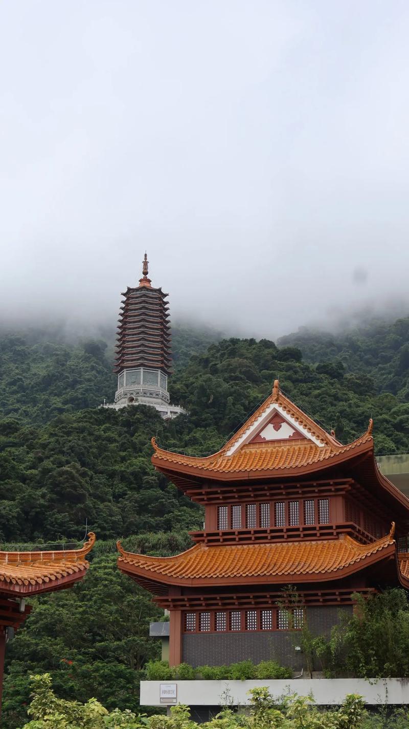 深圳二日游旅游景点推荐(深圳二日游旅游景点推荐地方)-第6张图片-文史 深圳二日游旅游景点推荐(深圳二日游旅游景点推荐地方)-第6张图片-文史