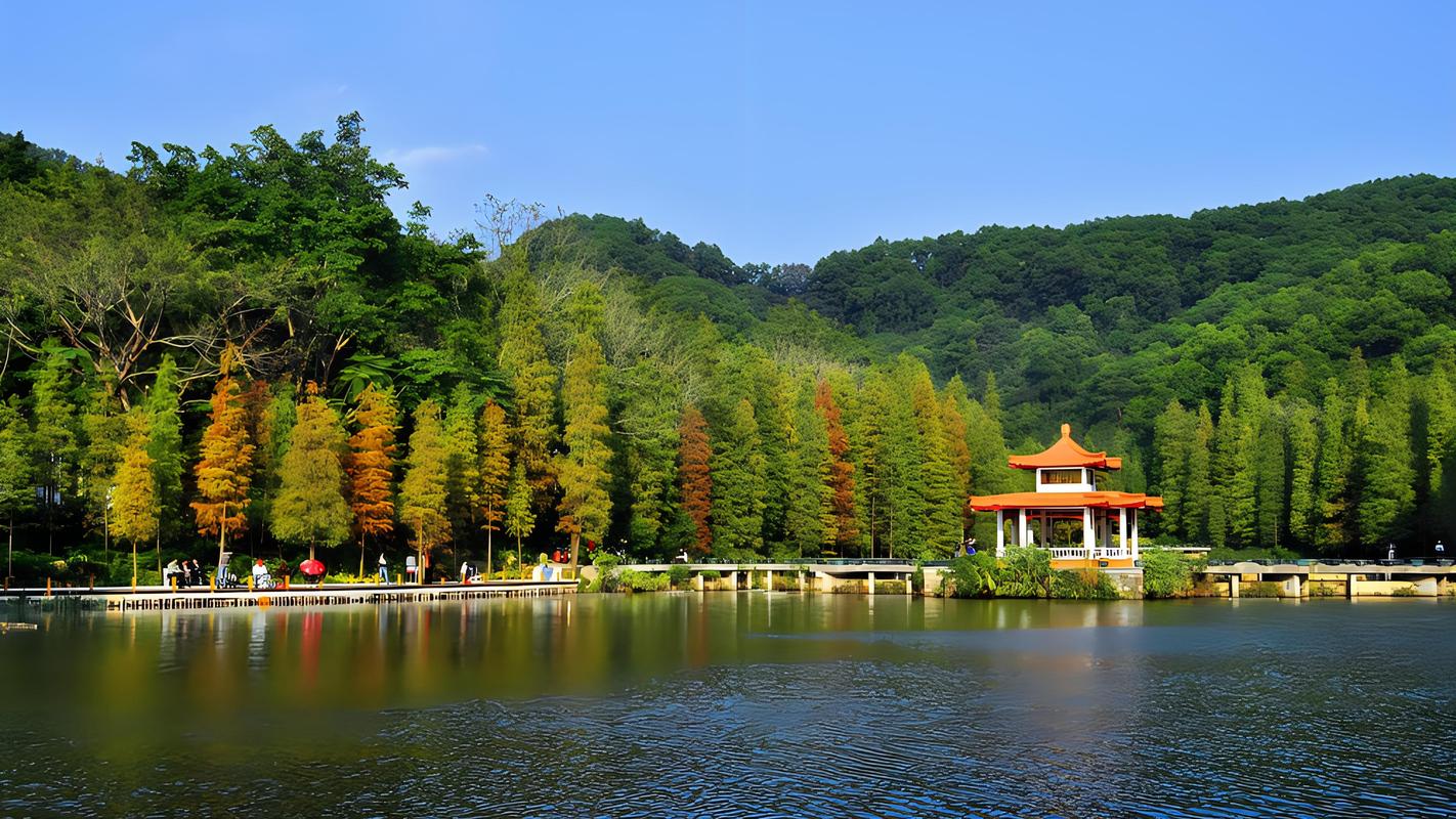 深圳二日游旅游景点推荐(深圳二日游旅游景点推荐地方)-第7张图片-文史 深圳二日游旅游景点推荐(深圳二日游旅游景点推荐地方)-第7张图片-文史