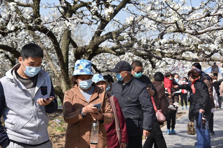 砀山县天气预报最新,砀山县天气预报最新消息-第3张图片-文史 砀山县天气预报最新,砀山县天气预报最新消息-第3张图片-文史