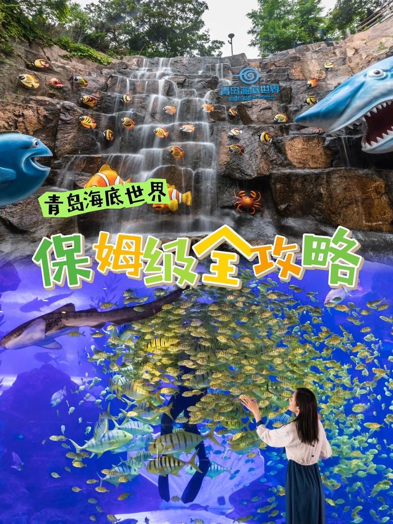 青岛海底世界游玩时间(青岛海底世界营业时间表)-第4张图片-文史 青岛海底世界游玩时间(青岛海底世界营业时间表)-第4张图片-文史