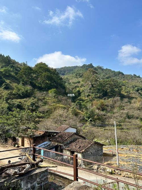 云浮郁南天气预报(云浮郁南天气预报15天准确)-第1张图片-文史 云浮郁南天气预报(云浮郁南天气预报15天准确)-第1张图片-文史
