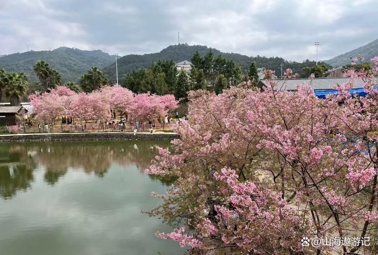 江门台山斗山天气(明天江门台山天气预报)-第7张图片-文史 江门台山斗山天气(明天江门台山天气预报)-第7张图片-文史