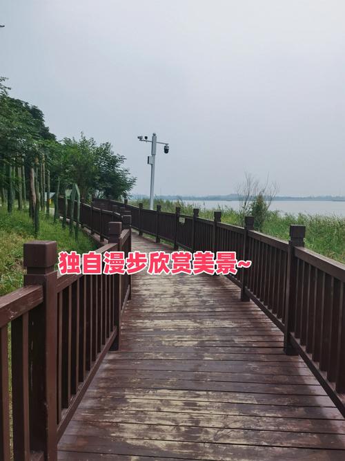 衡水湖有什么好玩的地方,衡水湖有什么景点-第2张图片-文史 衡水湖有什么好玩的地方,衡水湖有什么景点-第2张图片-文史