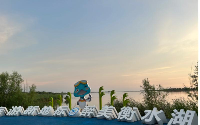 衡水湖有什么好玩的地方,衡水湖有什么景点-第5张图片-文史 衡水湖有什么好玩的地方,衡水湖有什么景点-第5张图片-文史