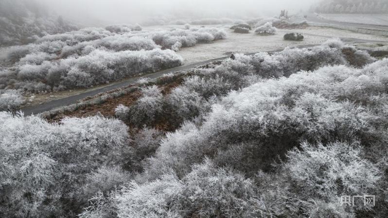 开州天气预报今天(开州天气预报今天有雨吗)-第1张图片-文史 开州天气预报今天(开州天气预报今天有雨吗)-第1张图片-文史