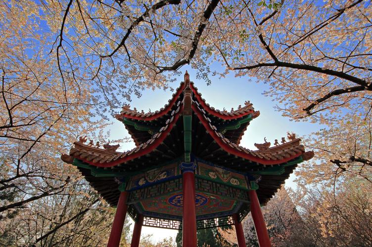 徐州周边旅游景点大全,徐州周边旅游景点大全排名榜徐州离哪里近-第6张图片-文史 徐州周边旅游景点大全,徐州周边旅游景点大全排名榜徐州离哪里近-第6张图片-文史