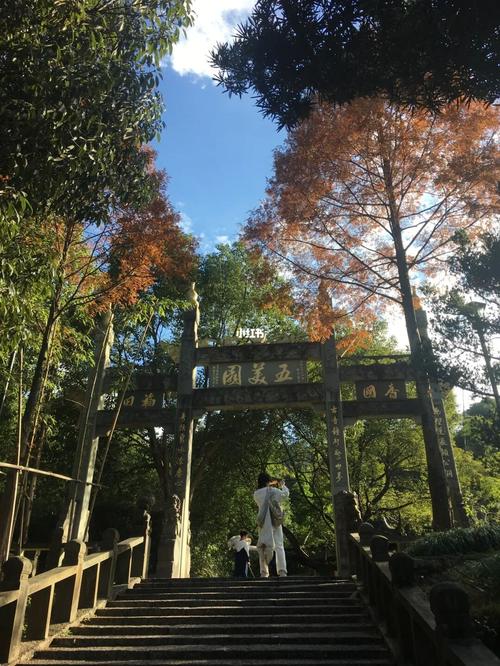 茶山天气预报15天（茶山天气预报15天准确）-第3张图片-文史