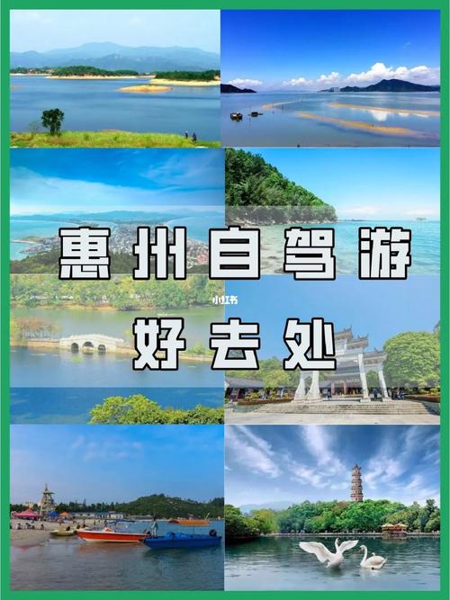 惠州旅游攻略自驾游(惠州旅游胜地自驾游)-第1张图片-文史 惠州旅游攻略自驾游(惠州旅游胜地自驾游)-第1张图片-文史