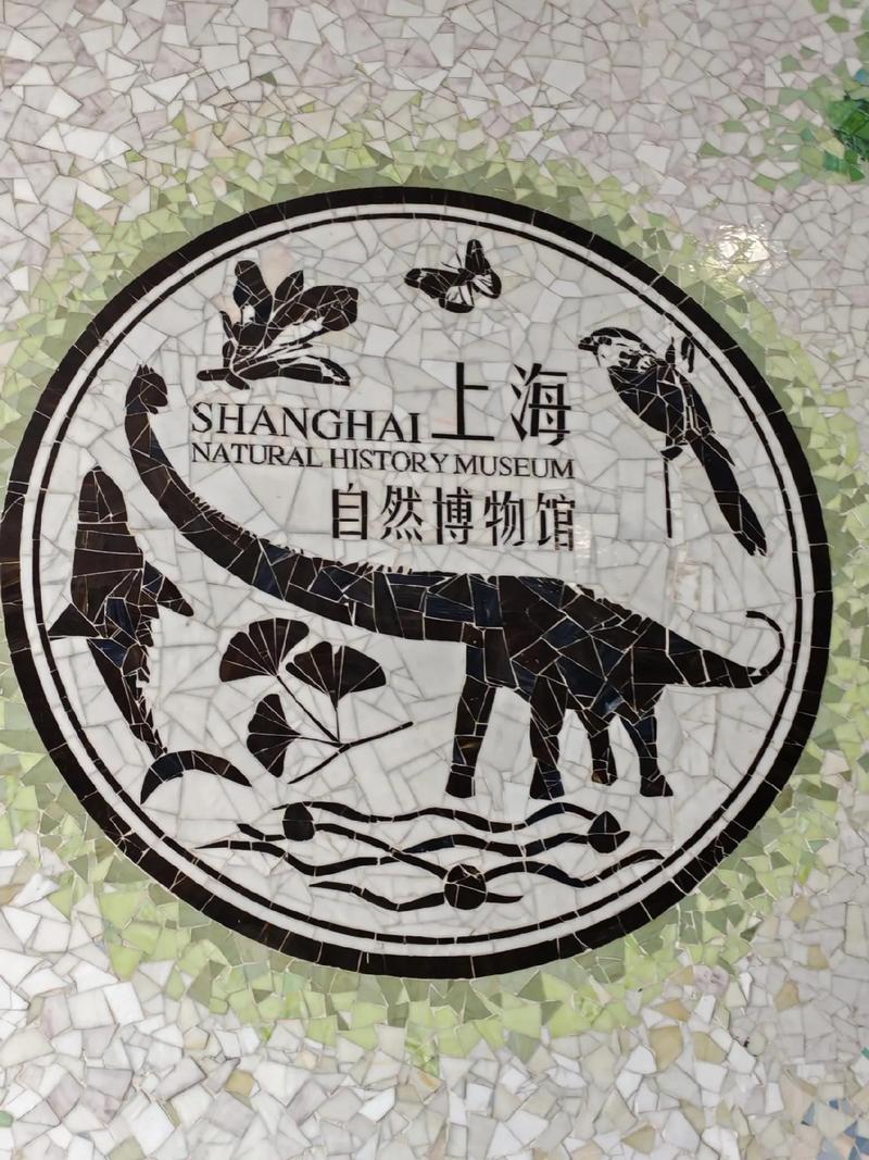 上海自然博物馆预约,上海自然博物馆预约入口-第3张图片-文史 上海自然博物馆预约,上海自然博物馆预约入口-第3张图片-文史