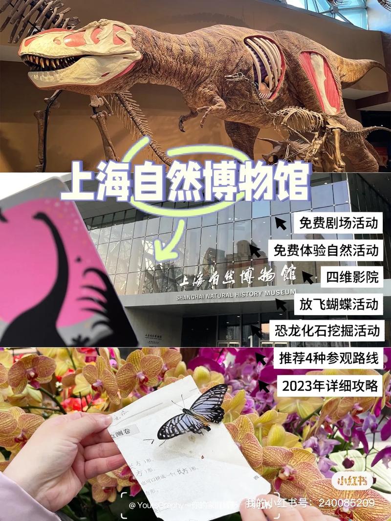 上海自然博物馆预约,上海自然博物馆预约入口-第6张图片-文史 上海自然博物馆预约,上海自然博物馆预约入口-第6张图片-文史