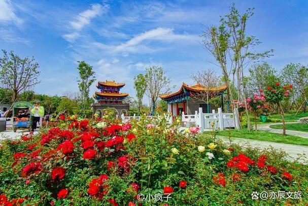 南阳免费的33个景点,南阳有免费景点推荐-第7张图片-文史 南阳免费的33个景点,南阳有免费景点推荐-第7张图片-文史