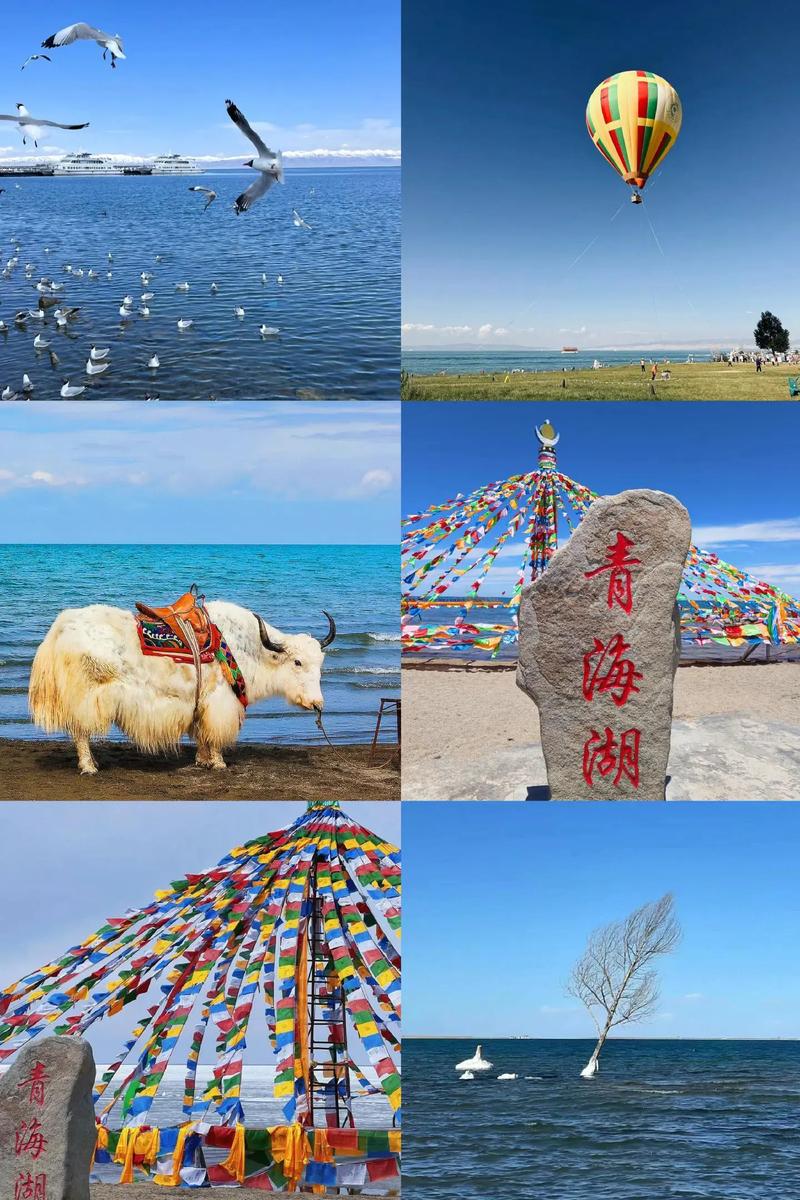 塔尔寺值得去吗(塔尔寺值得去吗最近)-第2张图片-文史 塔尔寺值得去吗(塔尔寺值得去吗最近)-第2张图片-文史