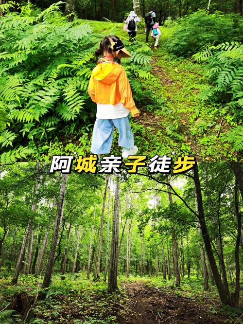 阿城天气预报40天(阿城 天气)-第6张图片-文史 阿城天气预报40天(阿城 天气)-第6张图片-文史