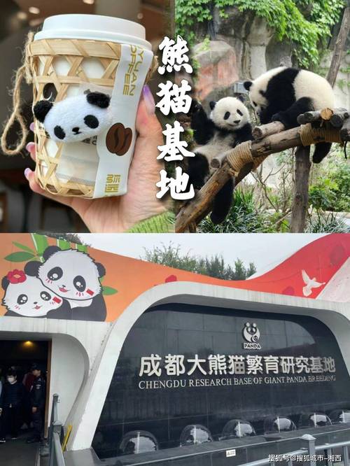 成都动物园和熊猫基地哪个好玩,成都熊猫基地好玩还是动物园好玩-第5张图片-文史 成都动物园和熊猫基地哪个好玩,成都熊猫基地好玩还是动物园好玩-第5张图片-文史