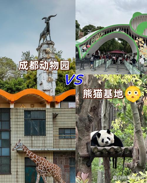 成都动物园和熊猫基地哪个好玩,成都熊猫基地好玩还是动物园好玩-第6张图片-文史 成都动物园和熊猫基地哪个好玩,成都熊猫基地好玩还是动物园好玩-第6张图片-文史