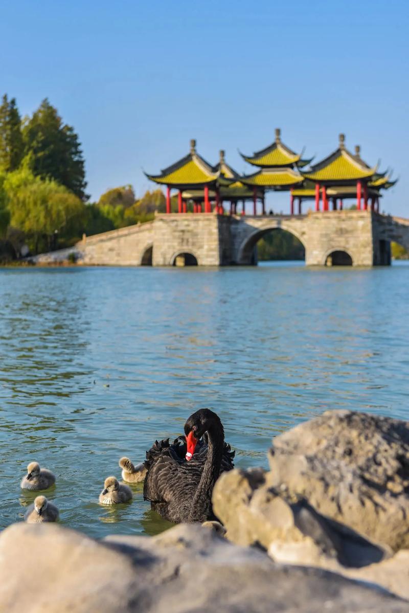 扬州的旅游景点有哪些地方,扬州的旅游景点主要景点有哪些?-第4张图片-文史