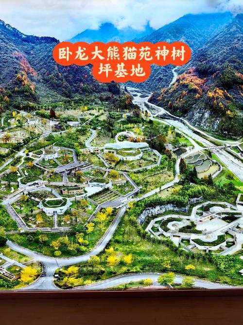 四川卧龙大熊猫自然保护区,四川卧龙大熊猫自然保护区天气预报-第3张图片-文史 四川卧龙大熊猫自然保护区,四川卧龙大熊猫自然保护区天气预报-第3张图片-文史