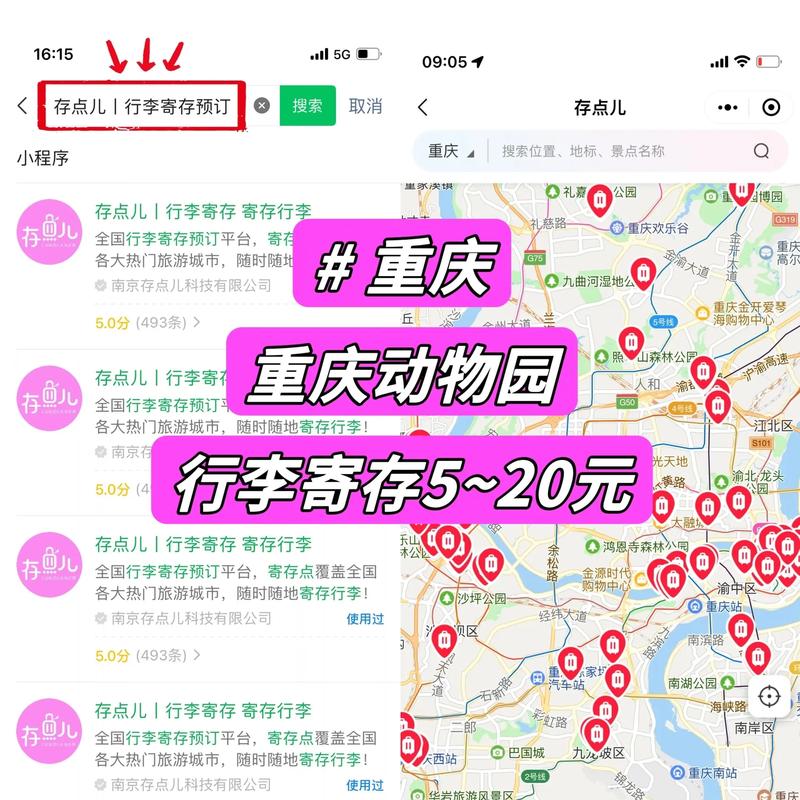 重庆动物园在哪里,重庆动物园在哪里怎么坐车-第1张图片-文史 重庆动物园在哪里,重庆动物园在哪里怎么坐车-第1张图片-文史