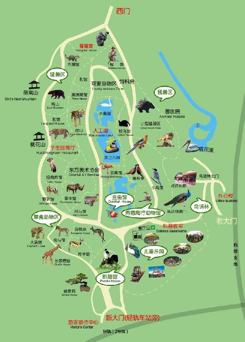 重庆动物园在哪里,重庆动物园在哪里怎么坐车-第6张图片-文史 重庆动物园在哪里,重庆动物园在哪里怎么坐车-第6张图片-文史