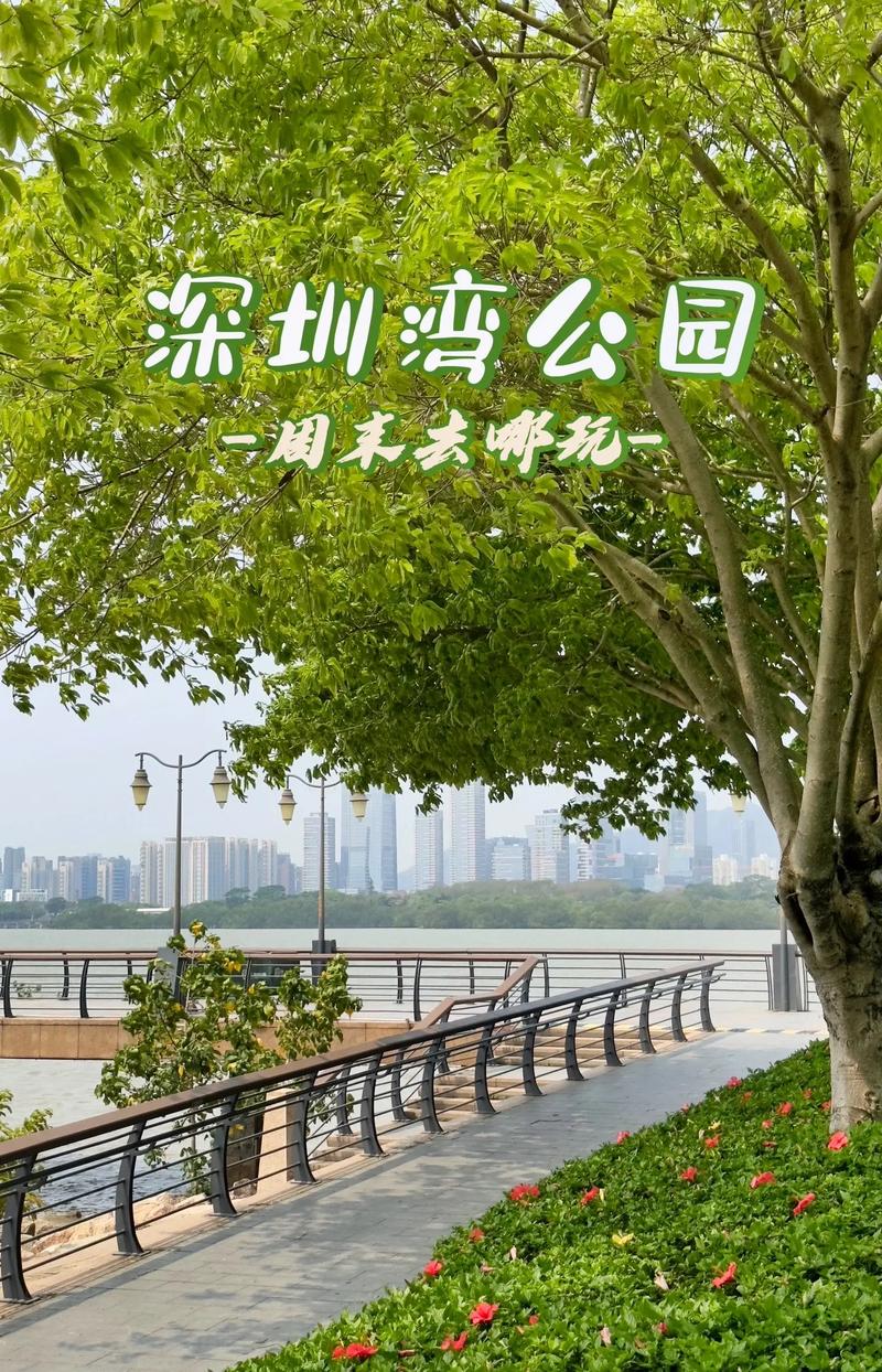 深圳游玩好去处（深圳游玩好去处10大）-第4张图片-文史