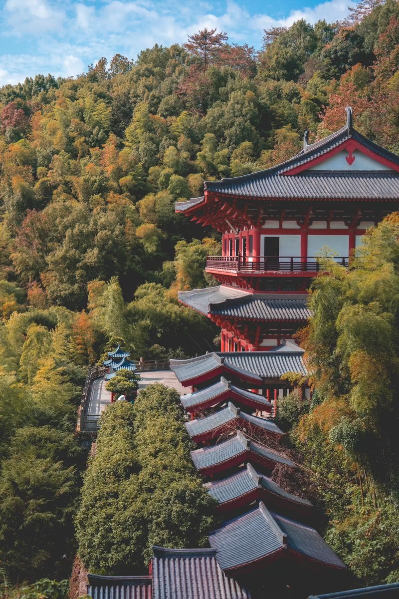 香山植物园门票多少钱一张(2020年香山植物园门票预约)-第1张图片-文史 香山植物园门票多少钱一张(2020年香山植物园门票预约)-第1张图片-文史