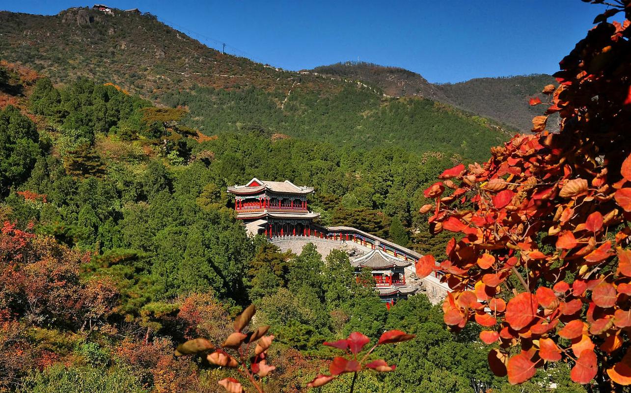 香山植物园门票多少钱一张(2020年香山植物园门票预约)-第7张图片-文史 香山植物园门票多少钱一张(2020年香山植物园门票预约)-第7张图片-文史