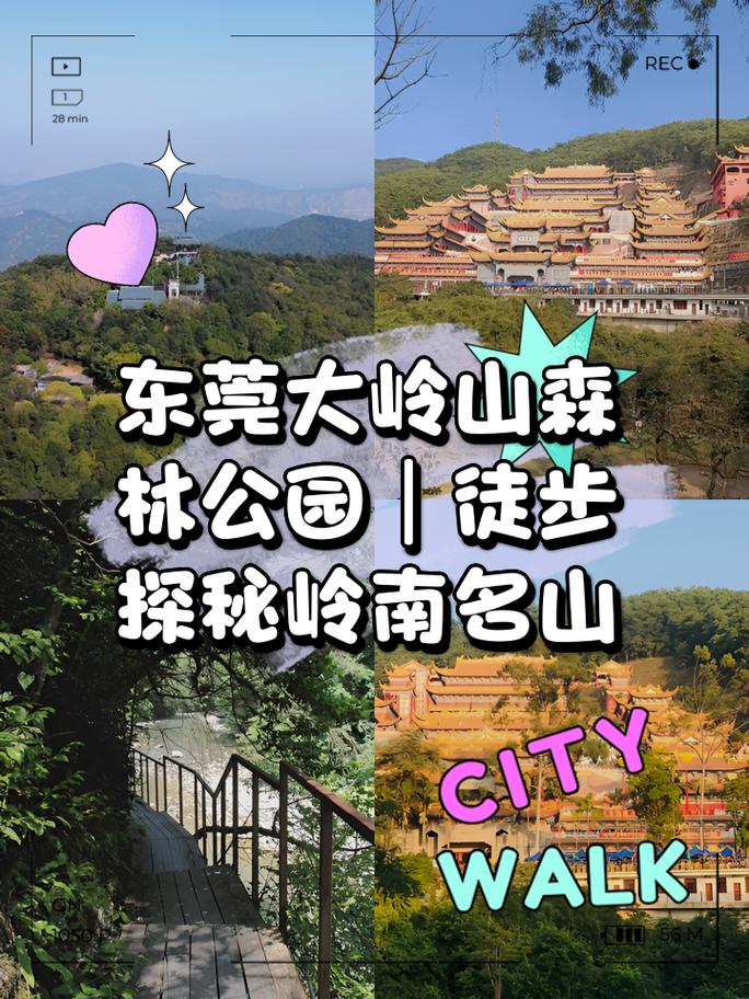 大岭山森林公园景点,大岭山森林公园景点介绍